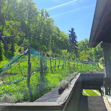 Das Altsteirische Landhaus - La Maison De Pronegg - Feriendomizil Im Biosphaerenpark Wienerwald Pressbaum Extérieur photo