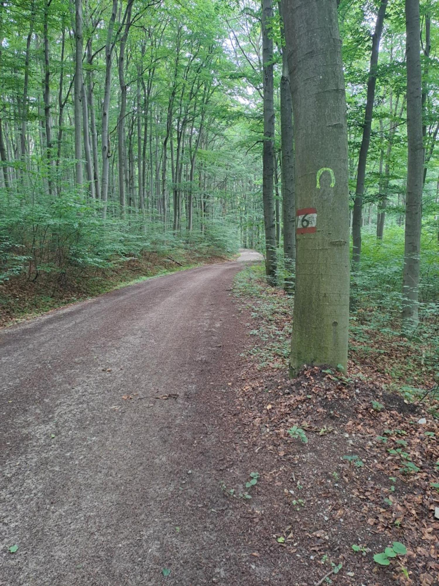 Das Altsteirische Landhaus - La Maison De Pronegg - Feriendomizil Im Biosphaerenpark Wienerwald Pressbaum Extérieur photo
