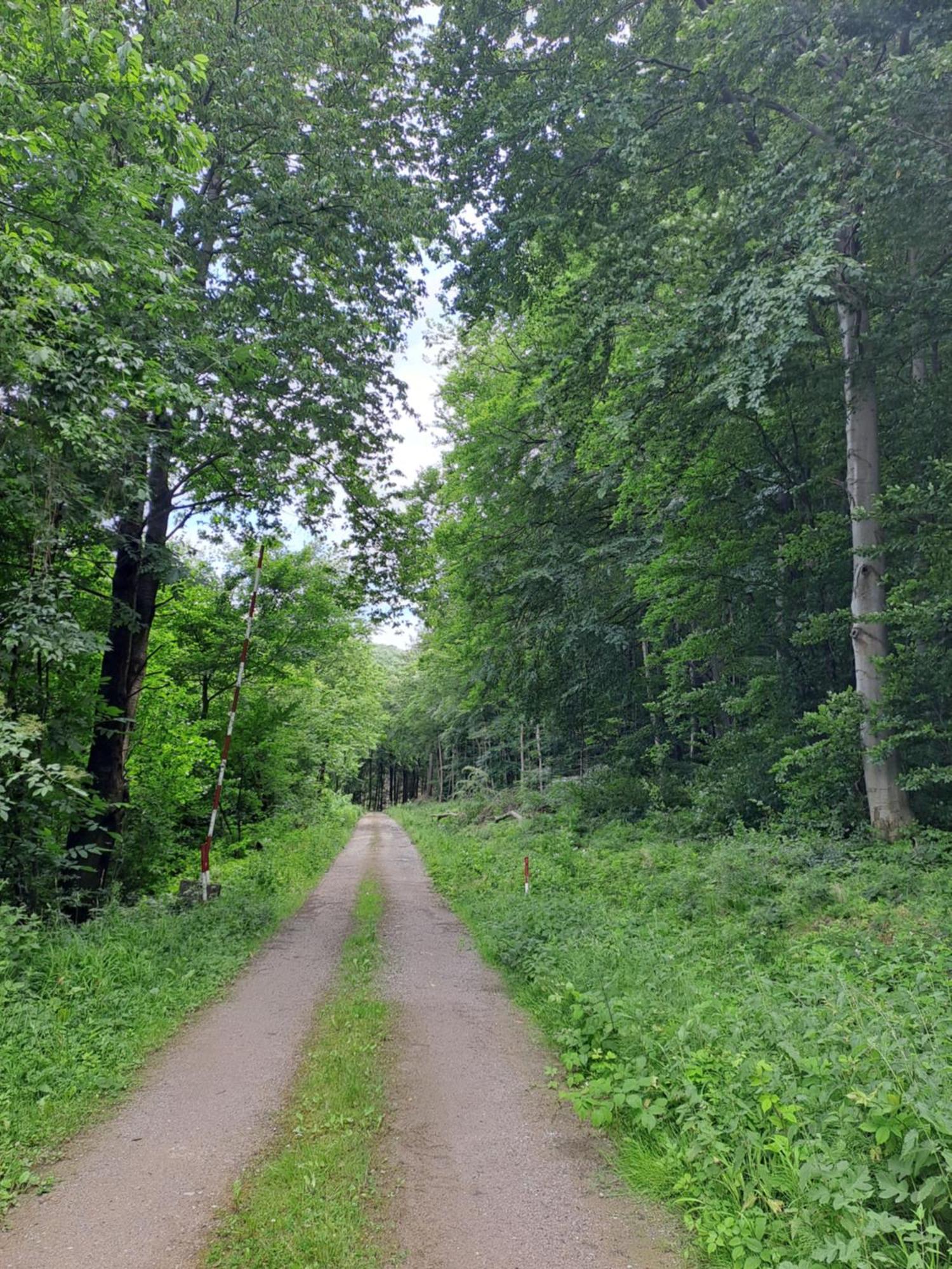 Das Altsteirische Landhaus - La Maison De Pronegg - Feriendomizil Im Biosphaerenpark Wienerwald Pressbaum Extérieur photo