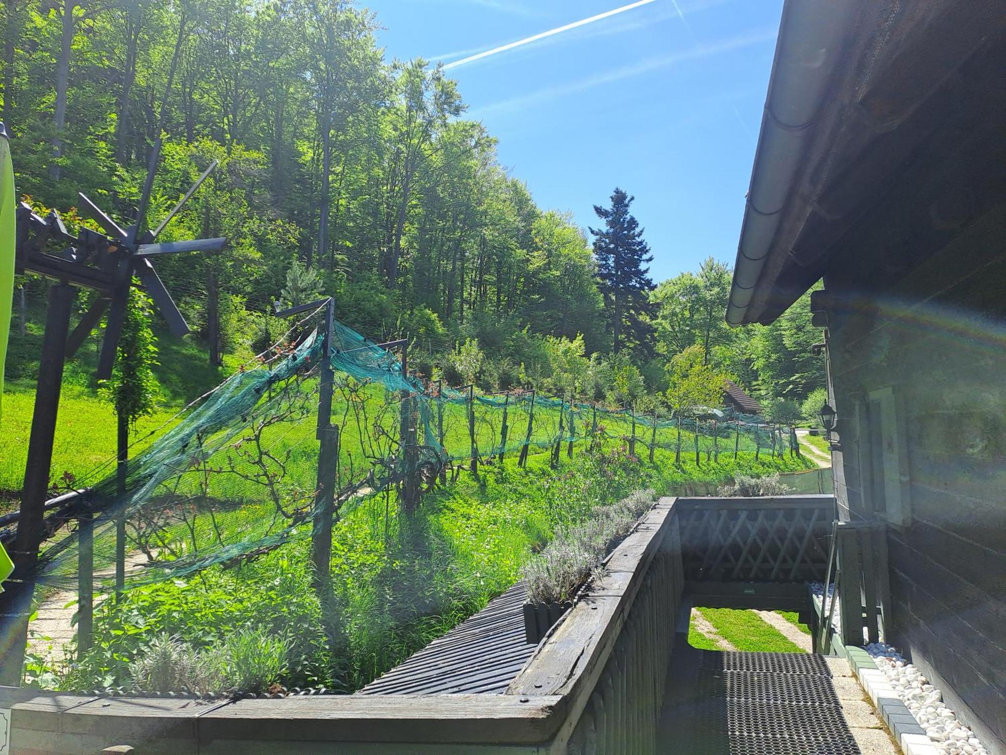 Das Altsteirische Landhaus - La Maison De Pronegg - Feriendomizil Im Biosphaerenpark Wienerwald Pressbaum Extérieur photo